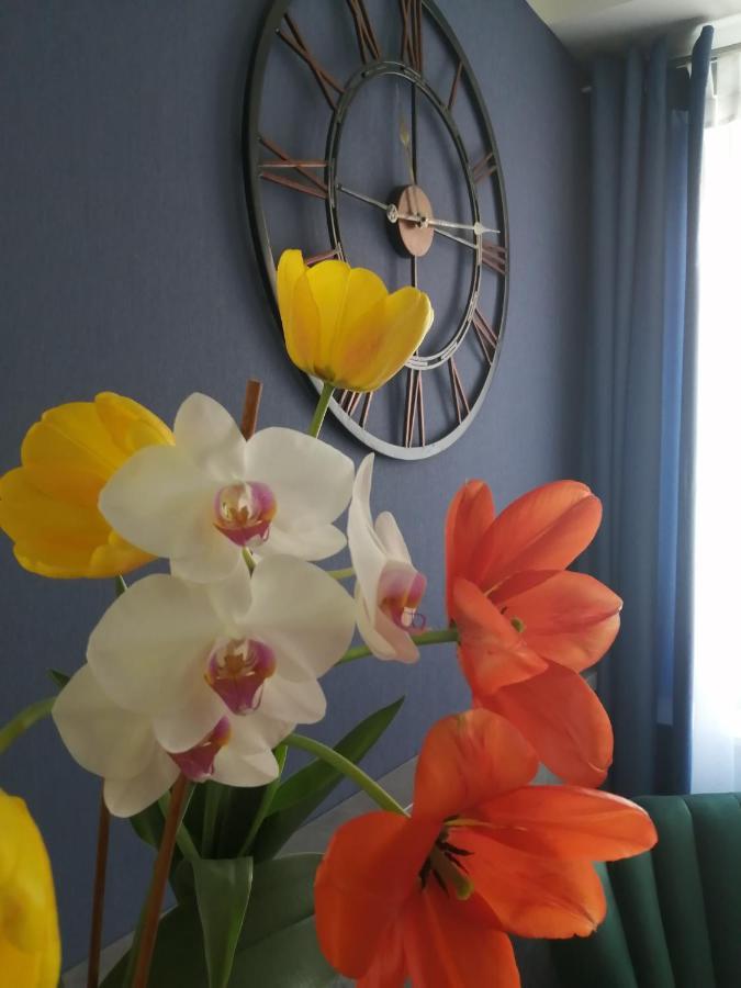 Filsdeger Haz - Central Rooms & Apartmans מראה חיצוני תמונה